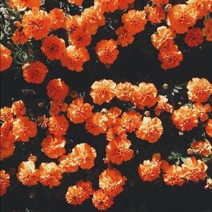 Meet your Posher, Jocelyn